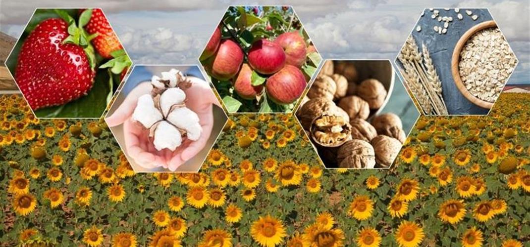 2025-2027 YILLARINDA YAPILACAK BİTKİSEL ÜRETİMDE YENİ DESTEKLEME MODELİ 